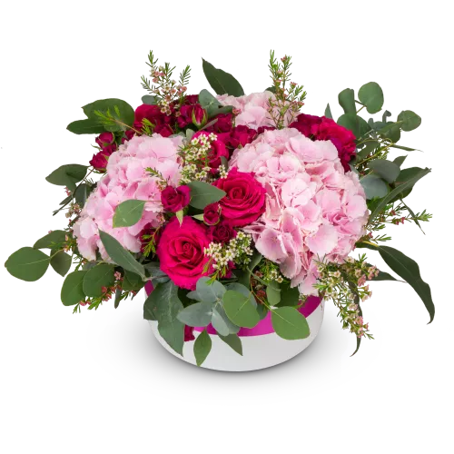 Květinový box s hortenzií